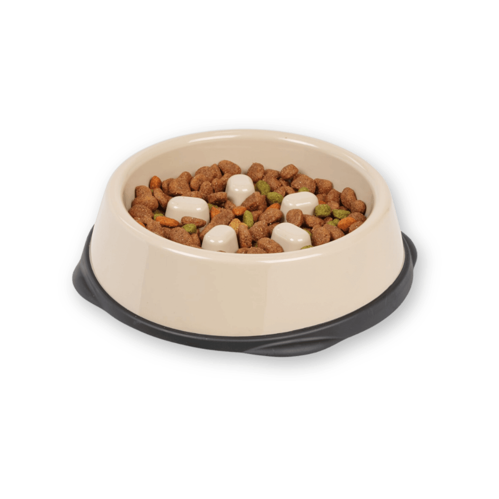 Slow-feeder dog bowl by IRIS