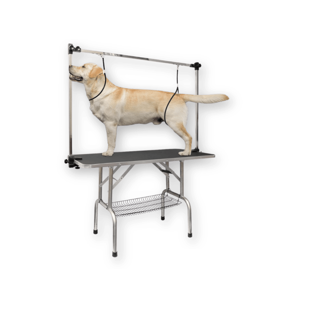 lovmor pet table prime day deal