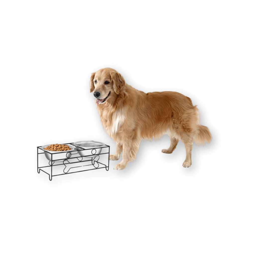 Best Elevated Dog Bowl by PETMAKER