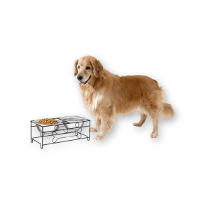 Best Elevated Dog Bowl by PETMAKER