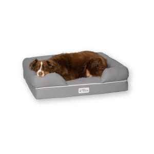 best dog bed by Pet Fusion