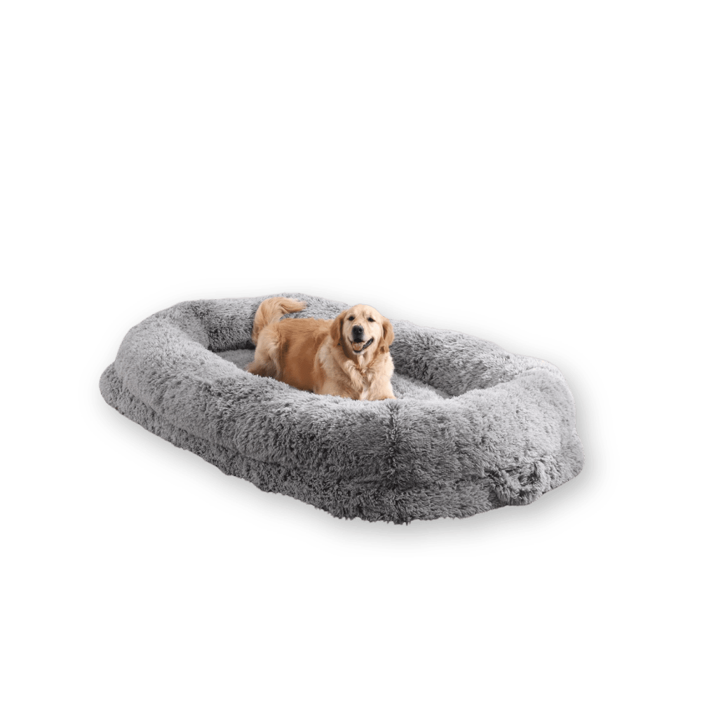 Dog bed sale - Prime Day