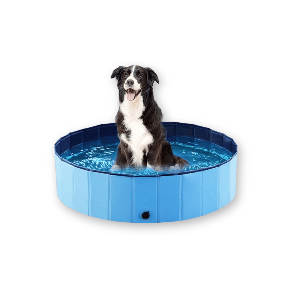 Best Dog Bathtubs by asonwell