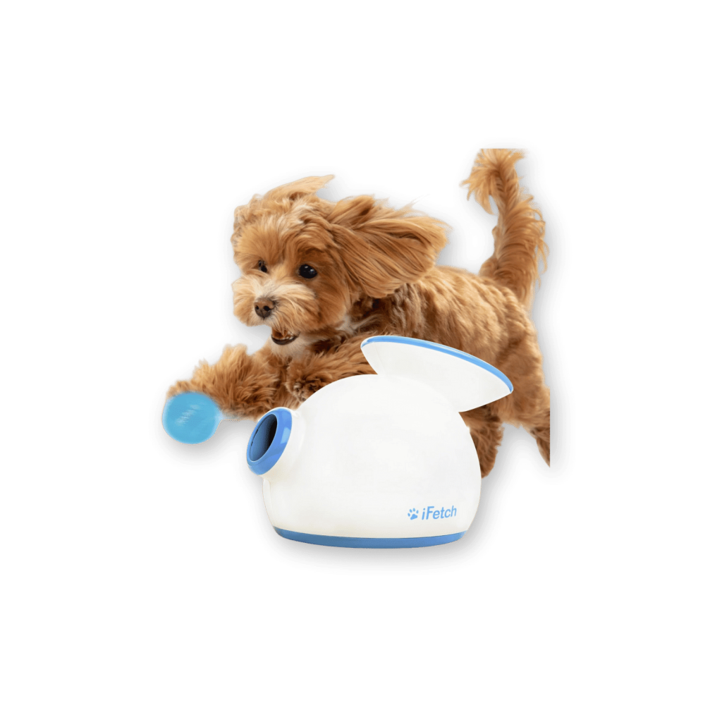 iFetch Automatic Dog Ball Launcher Best Dog Ball Launcher by iFetch
