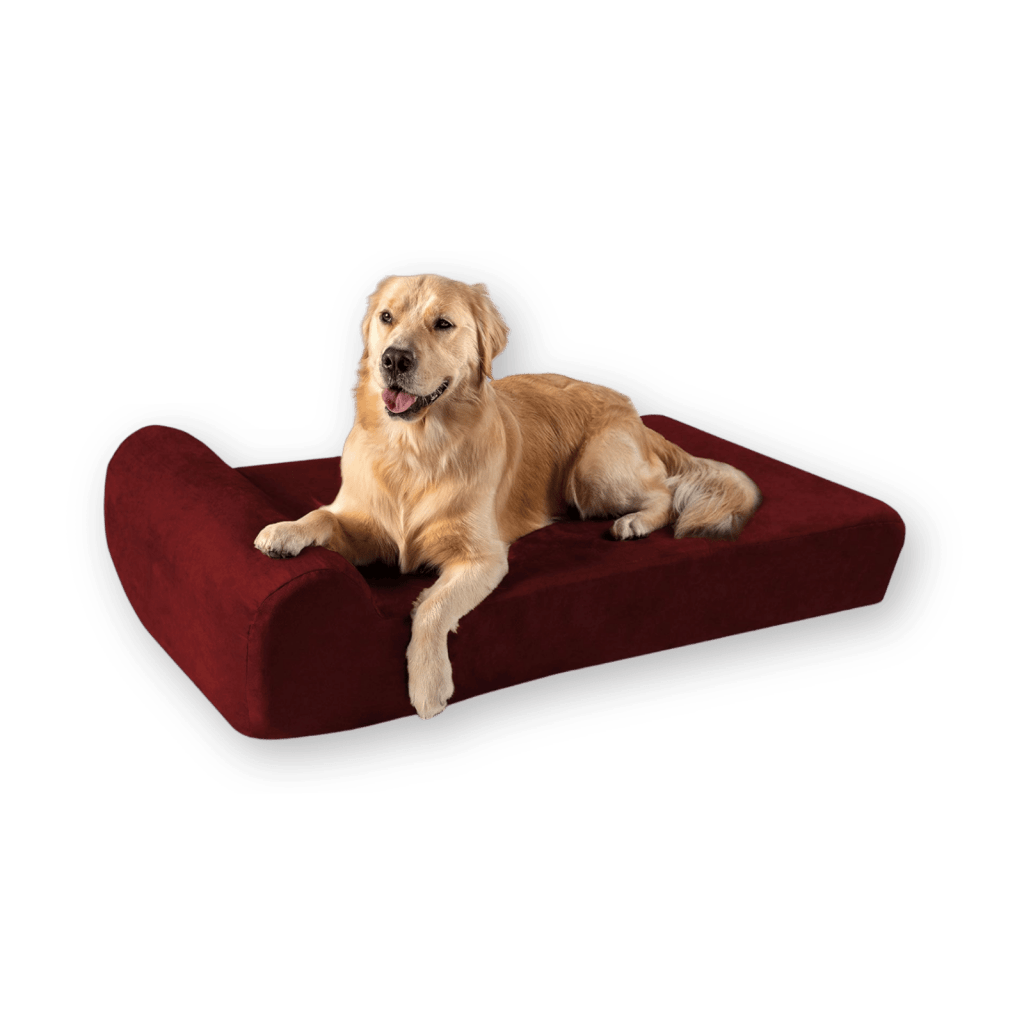 Orthopedic Dog Bed by Big Barker