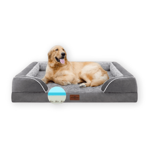 Best Dog Cooling Bed by Comfort Expression