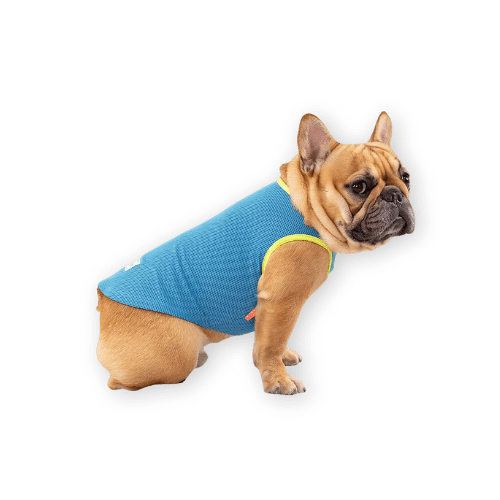 Best Dog Cooling Vest by KYEESE