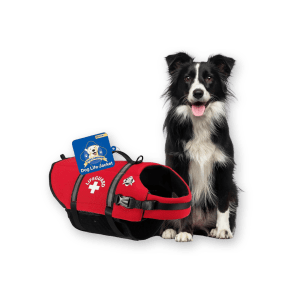 Best Dog Life Jacket by Paws