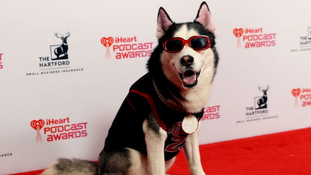 Swaggy Wolfdog attends the 2024 iHeartPodcast Awards