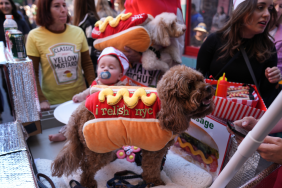 NYC Halloween dog parade