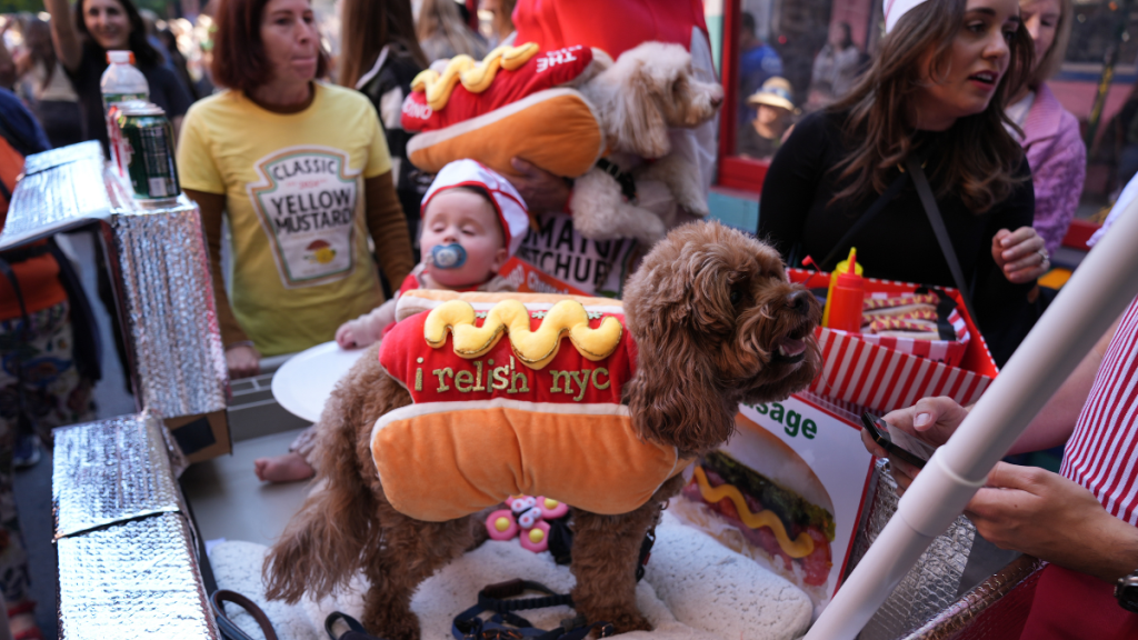 NYC Halloween dog parade