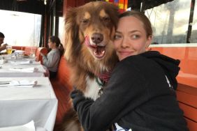 Amanda Seyfried with her rescue dog Finn.