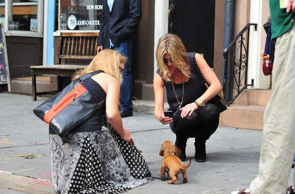Jennifer Aniston tomando una foto de un perrito en Nueva York.