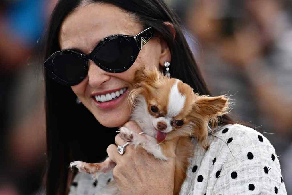 Demi Moore y su perro, Pilaf, en el Festival de Cannes.