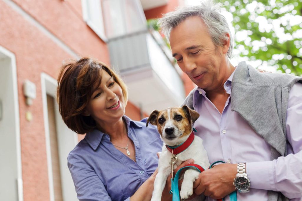 Mature couple bringing home new dog, a Jack Russell Terrier.