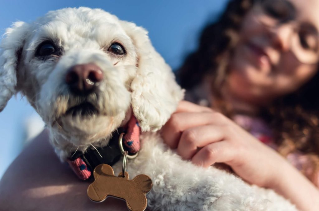 Pet parent holding dog with collar and ID tag.