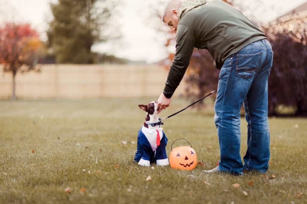 Man taking his pet for a walk with a leash on for safety during Halloween.