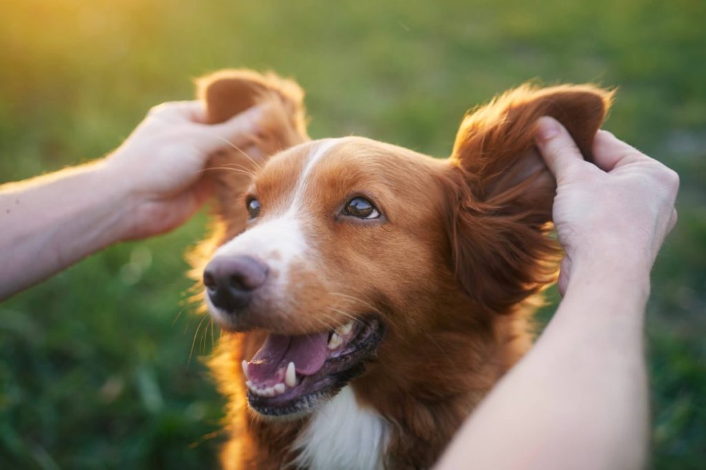 Man playing with new dog who has an unusual name.