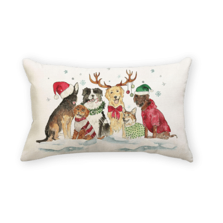 Rguct Christmas Pillow Covers