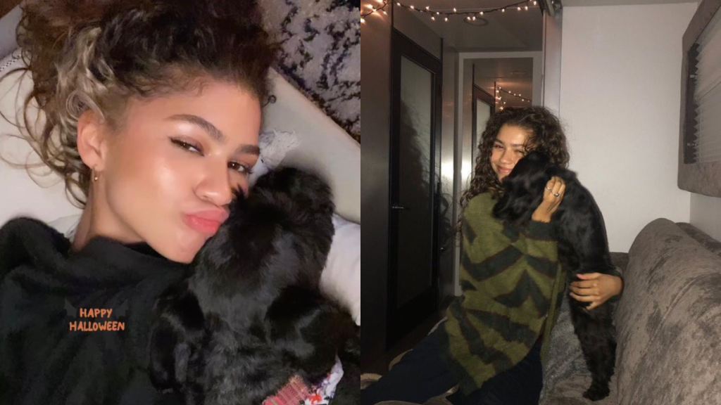 Zendaya with her dog