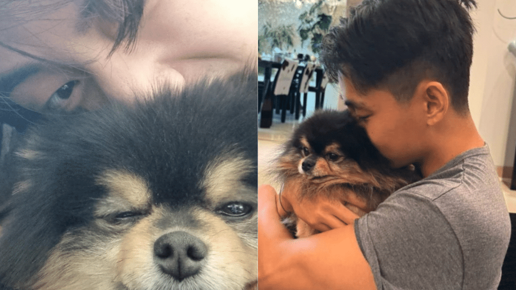 BTS V and his beloved dog Yeontan