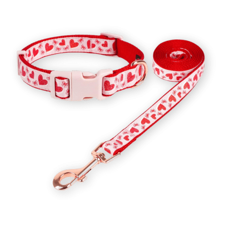 Azusa Valentine’s Day Dog Collar and Leash Set