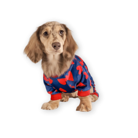 Fitwarm Valentine’s Day Sweet Hearts Dog Pajamas