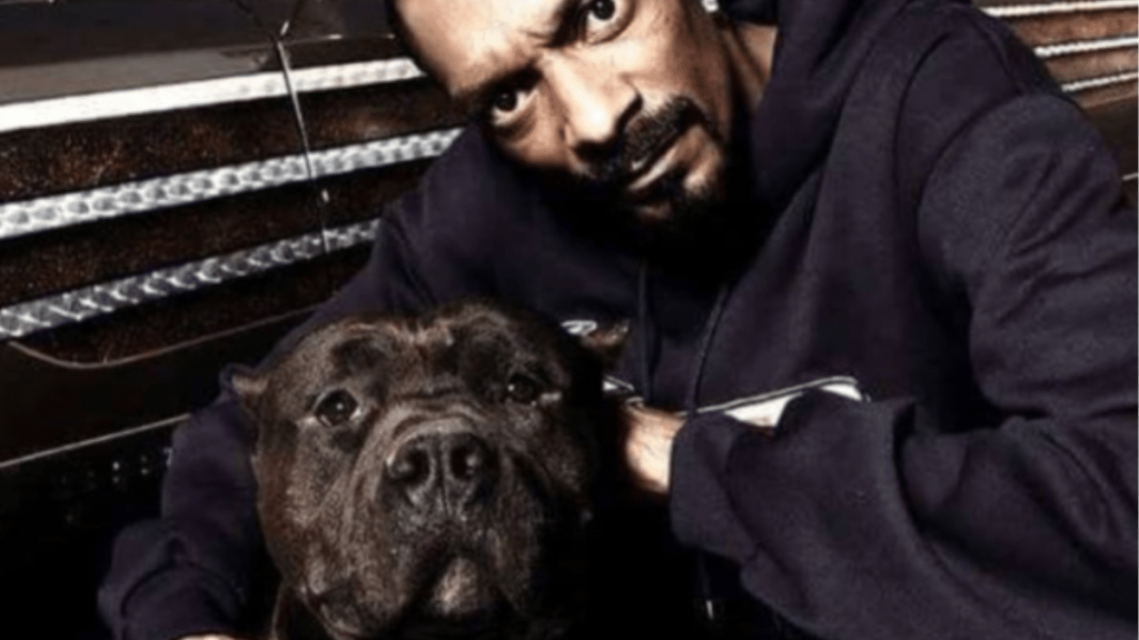 Snoop Dogg's Dog