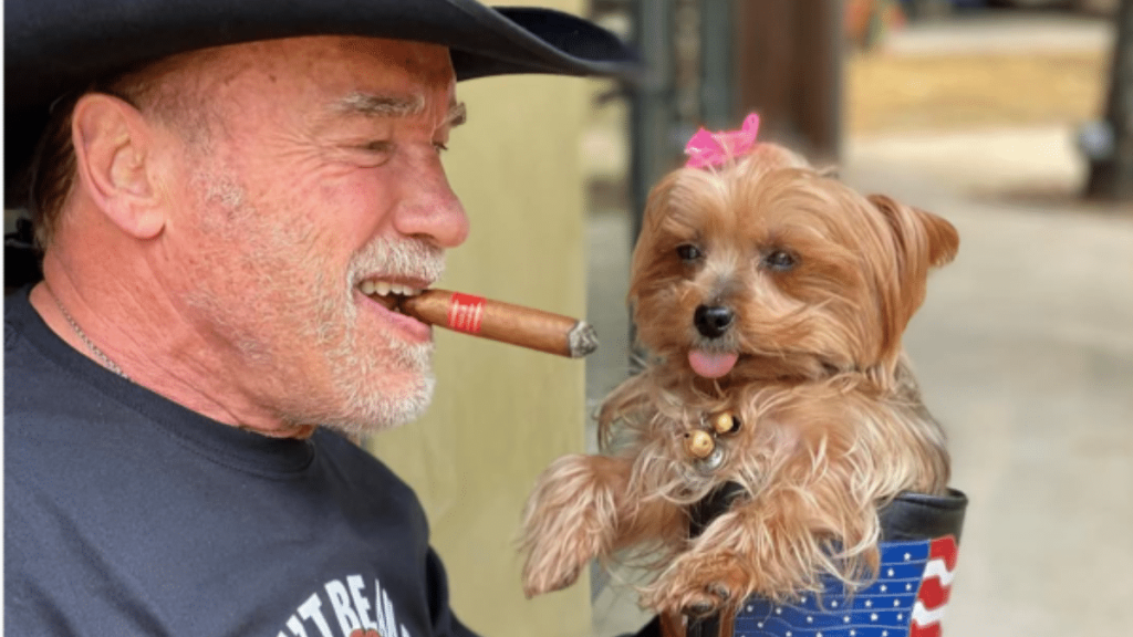Arnold Schwarzenegger's Dog