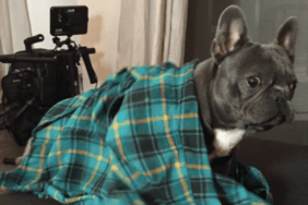 Snoop Dogg's Dog