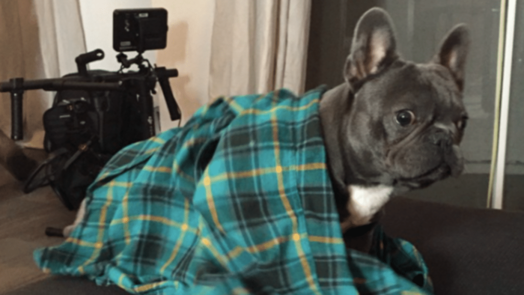 Snoop Dogg's Dog