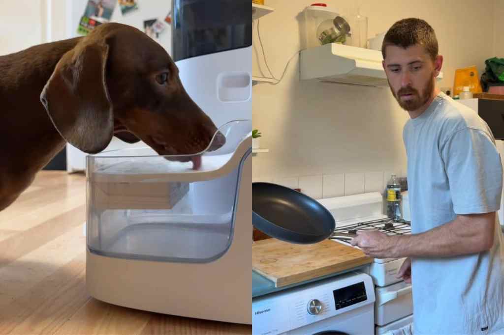 Video of dog drinking water.