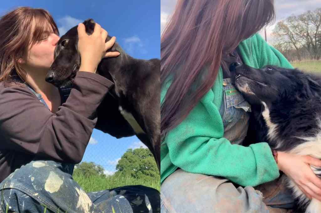 Video of rescue dogs getting kissed.