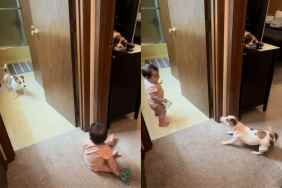 Video of dog playing chase with baby sister.