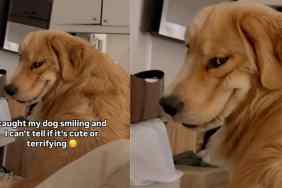 Video of Dog's One-of-a-Kind Smile Leaves Internet Divided