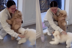 selena gomez dogs video