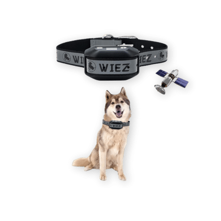 WIEZ GPS Wireless Dog Fence