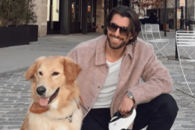Jason Tartick's Dog Teddy