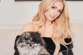 Paris Hilton's Dog