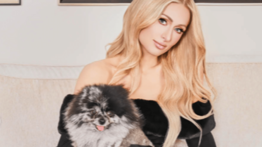 Paris Hilton's Dog