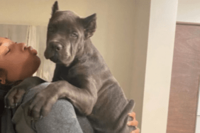 Megan Thee Stallion's Dog X