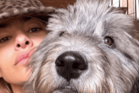 Eva Mendes' Dog Magic