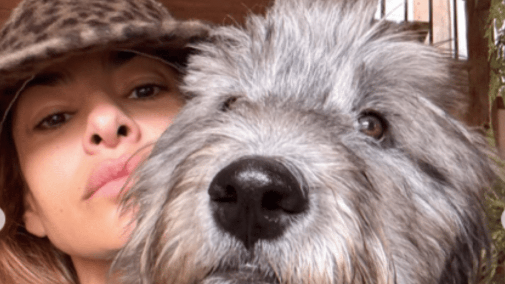 Eva Mendes' Dog Magic