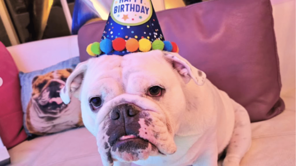 Ice-T's Dog