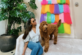 Zoe Saldana's Dog Dolcevita