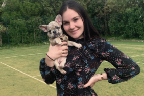Gordon Ramsay's Dog