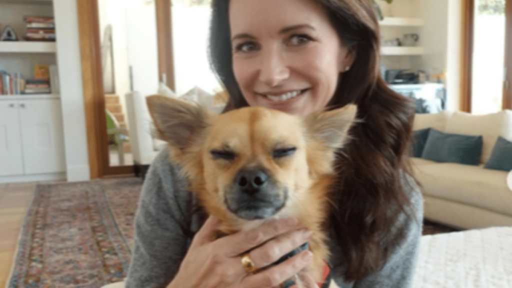 Kristin Davis' Dog Chewy