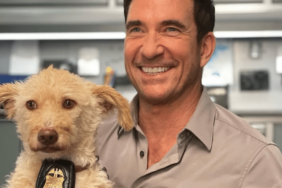 Dylan McDermott's Dog Otis
