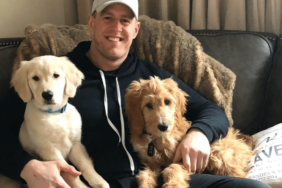 JJ Watt's Dog Finley