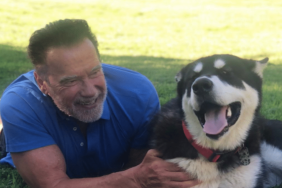 Arnold Schwarzenegger's Dog Dutch